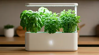 Countertop Gardens Are Perfect For Lazy Plant Parents