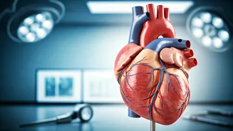 Heart Health: Top Tips for a Stronger Heart