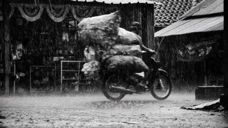 IMD issues heavy rain alert for 9 Gujarat districts