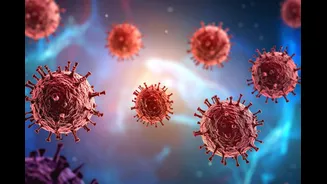 What Is 'Vomiting Virus' Spreading Across US; Symptoms, Causes And Prevention, All You Need To Know