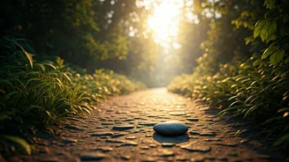 The Ultimate Brisk Walking and Silent Yoga Meditation Guide
