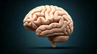 Is It Headache Or Brain Tumor? Know The Signs