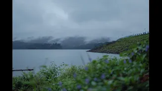 Kerala Transforms into a Lush Paradise During Monsoon