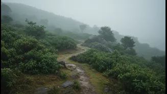 Monsoon Escapes Feel Richer With Longer Stays In Scenic Hills