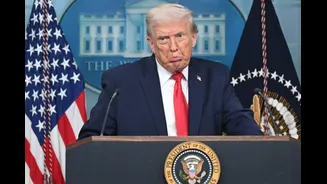 Norway Latest Country To Decline Trump's 'Board Of Peace' Invitation. Who Else Have Opted Out?