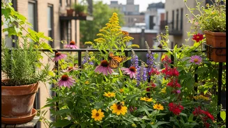 Small Balcony, Big Impact For Local Pollinators