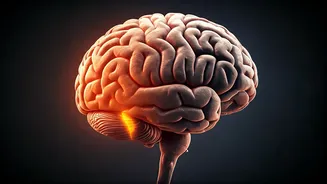 Boost Focus: 6 Ancient Yoga Poses for Memory