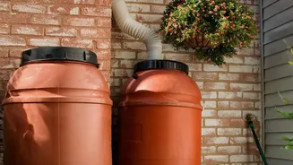 September Water Planning: Simple Ways Households Can Prepare For Less Rain
