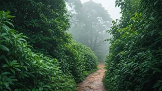 Eastern India Travel Needs Rain-Smart Decisions