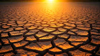 Sun's Secret Race: How Heat Speeds Up Aging in the US