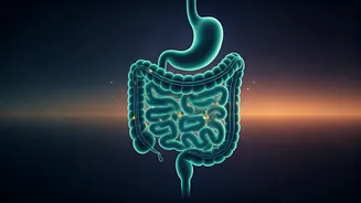 Intermittent Fasting: 12 vs 16 Hours Doesn't Matter as Much as What You Eat