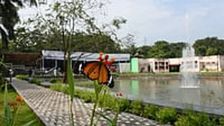 Guided Nature Walk In Airoli To Introduce Children To Urban Biodiversity At Coastal Marine And Biodiversity Park On February 8