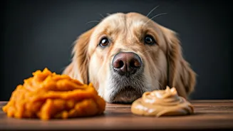 This Easy Pumpkin Peanut Butter Hack Keeps Pups Chill