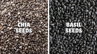 Chia seeds v/s basil seeds: Which superfood is better?