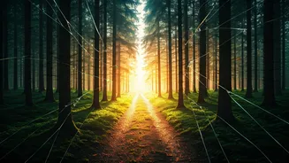 Unstoppable Women: Navigating Relationships & Phobias