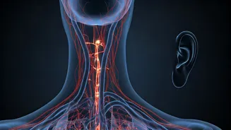 When Standing Up Brings Dizziness: What Your Blood Pressure and Hydration Might Be Telling You