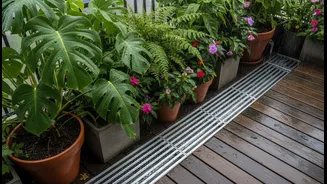 Protect Your Green Corner With Smart Balcony Drainage This Monsoon