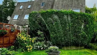 The August Sowing Window Makes Drainage and Sunlight a Timely Reader Check