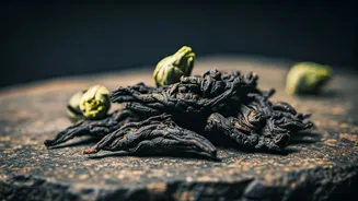 Assam's True Tea Origins: The Singpho Legacy and Ancient Brewing