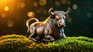 Related Stories banner