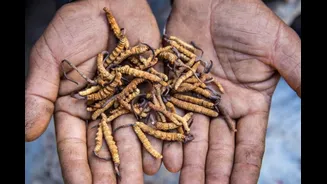 Related Stories banner