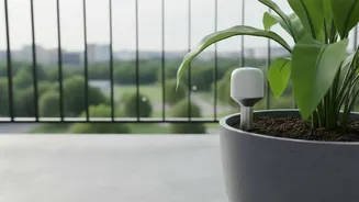 Microbial Soil Moisture Sensors Provide Real-Time Data To Prevent Balcony Overwatering