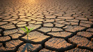 Urban India Must Respect Water Before Shortages