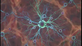 Why neuroscientists review decades of clinical data post cerebellar brain cell discovery