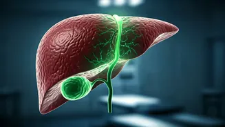 India's Youth at Risk: Energy Drinks Fueling Alarming Liver Damage Trends