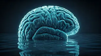 5 Habits for Mental Wellness: Your Daily Guide