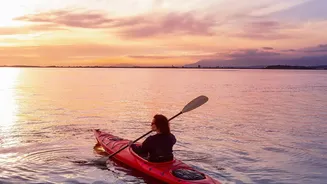 Balance Demands For Beginners In Kayaking And Paddleboarding: A Practical Comparison
