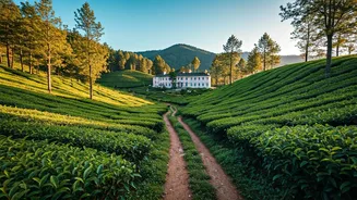 8 Stunning June Getaways in India: Budget-Friendly Escapes for Last-Minute Adventurers
