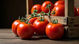 7 Habits for a Healthier You: Secrets from Spain