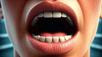 Related Stories banner