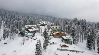 Where to See Snow Near Delhi: The Best Winter Spots Under 500 km