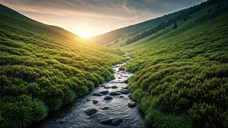 Green And Cool Trips Beat Sweaty Crowds