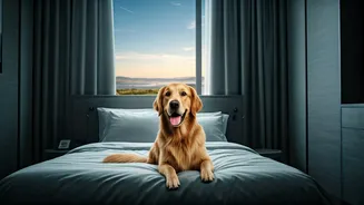 Pet travel grows as pets become family