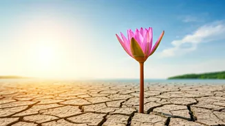 Post-Breakup Bliss: 5 Celebs Thriving After Divorce