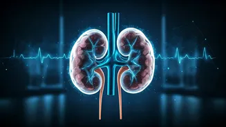 Oxford AI Tool Finds Hidden Hypertension Organ Damage