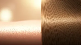 Scalp vs. Strand Oiling: Unlocking Your Hair's True Potential for Growth and Health