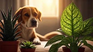 ASPCA 2026 Report Reveals Hidden Household Botanical Hazards Early