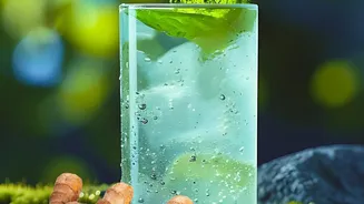 How To Brew Natural Kokum Coolers And Mint Lemonade For Clean Energy During Party Season