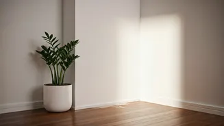 Small Spaces Need Dry Corners And Calm Light