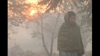 Chilly Mornings And Mist Expected In Bengaluru This Week, IMD Warns Of Cold Wave