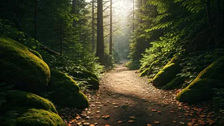 Your Best Workout Might Be A Walk