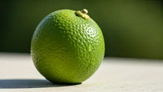 Why High Vitamin C Makes Sweet Limes Elite