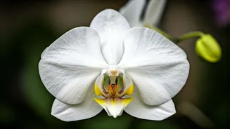 Unveiling Inner Radiance: Your Guide to Beauty