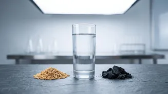 Microplastic Filtration Breakthrough: Using Rice Husk Waste To Purify Tap Water
