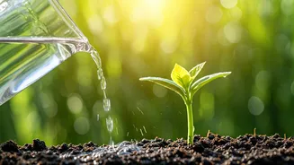 Related Stories banner