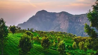 Why Early Winter Morning Drives From Bengaluru To Chikmagalur Offer Spectacular Mountain Views